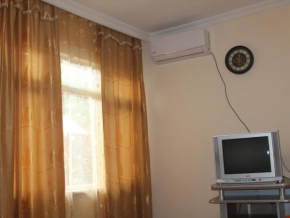 Flat on Saakadze